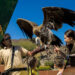 How Sharjah is building a stronger eco-tourism story