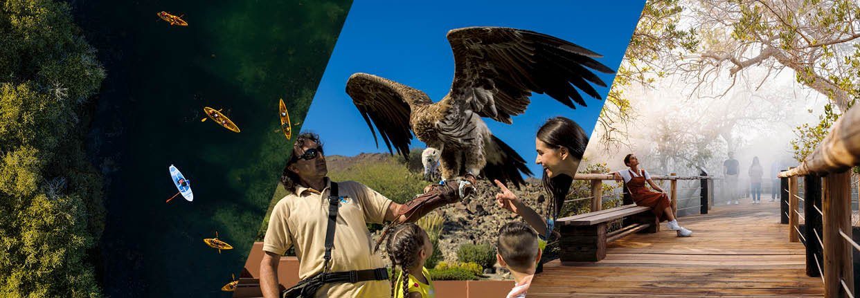 How Sharjah is building a stronger eco-tourism story